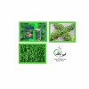 فروش عمده و خرده بذر چمن 09197443453