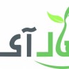 طراحی موشن گرافیک*سئو سایت*قالب سایت رایگان