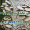 پرلیت-تولید قارچ اسپان