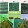 شید توری سایبان 09190768462