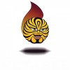 طراحی سایت زنبور هوشمند(metabee)