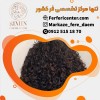 قیمت فر مو شش ماهه زنانه در خانه فر