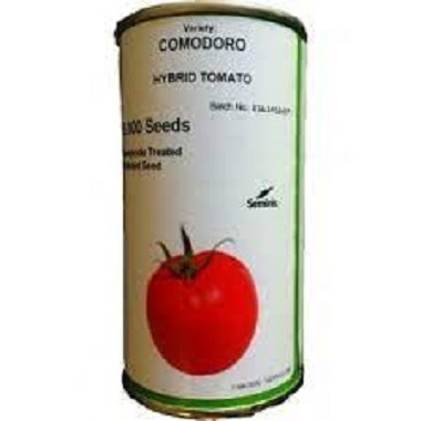 پخش و فروش بذر گوجه فرنگی کومودورو سمینیس