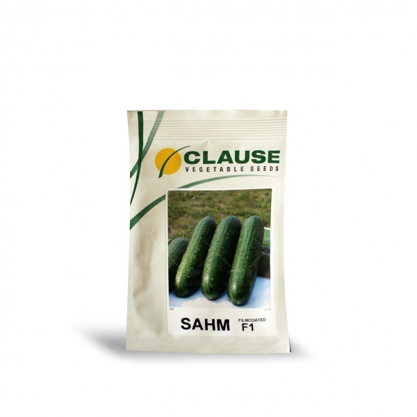 بذر خیار گلخانه ای سهم کلوز فرانسه - فروش و ارسال