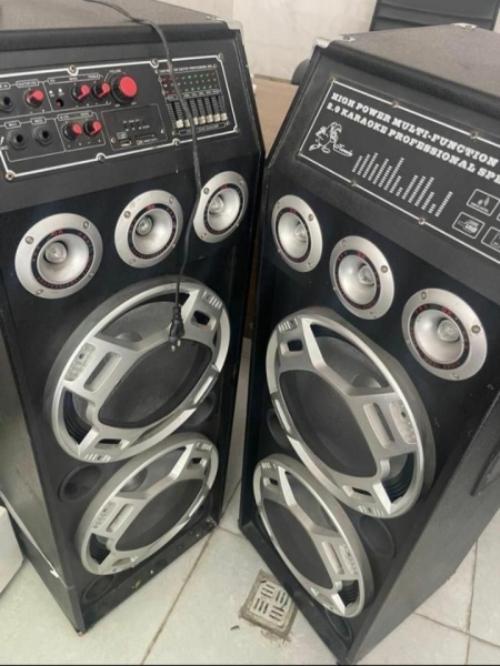نمایندگی اسپیکر میکرولب
