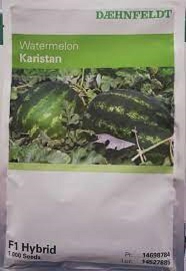 فروش بذر هندوانه کاریستان با قیمت مناسب