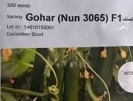 بذر خیار گوهربایر المانf1