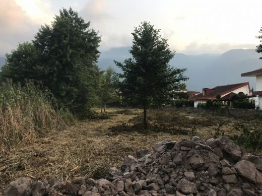 فروش پنج هزار متری ١٥کیلومتری نوشهربه سمت سیسنگان