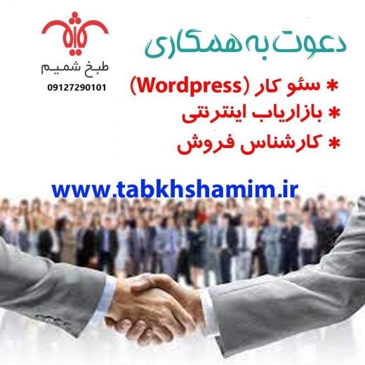 استخدام سئوکار