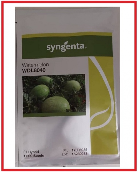 بذر هندوانه WD8040 سینجینتا