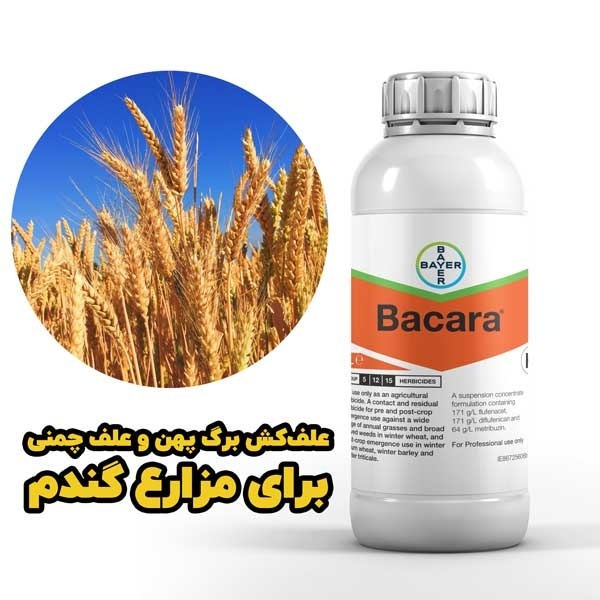 سفارش سم علف‌کش باکارا برای مزارع جو و گندم
