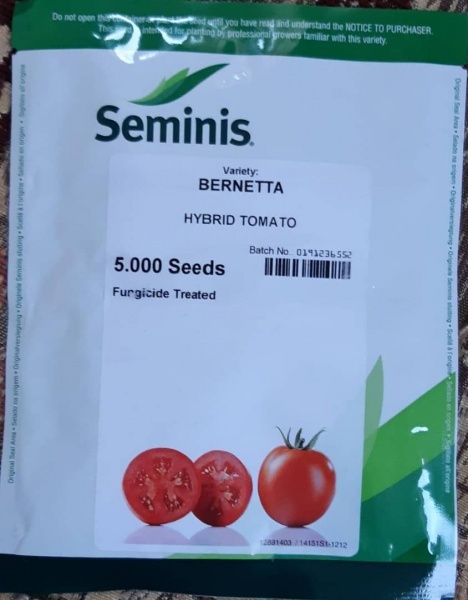 عرضه بذر گوجه برنتا ****سمینیس***