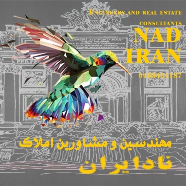 مهندسین و مشاورین املاک نادیران