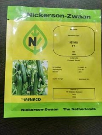 بذر خیار نیکرسون هلند