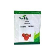 پخش و فروش بذر گوجه فرنگی SV4592 سمینیس