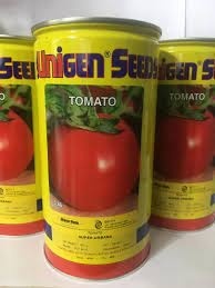 فروش عمده و خرده بذر گوجه فرنگی یونیژن