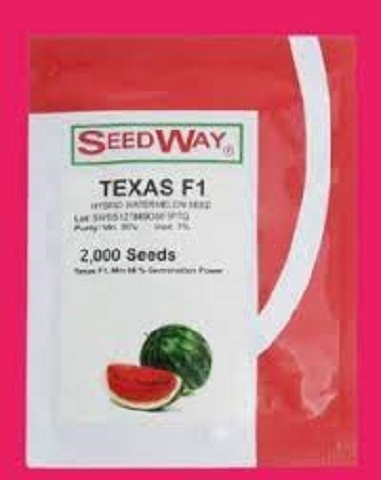 فروش بذر هندوانه تگزاس