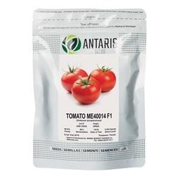 فروش بذر گوجه فرنگی me40014