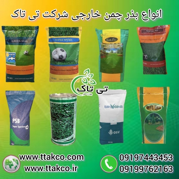 قیمت و خرید بذر چمن +مشخصات