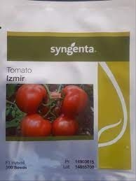 توزیع و فروش بذره گوجه دافنیس سینجنتا