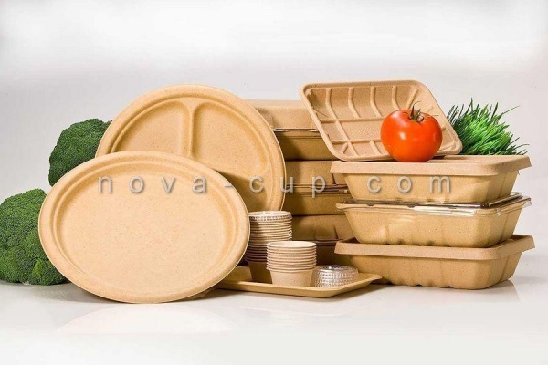 ‏‎ظروف یکبار مصرف گیاهی