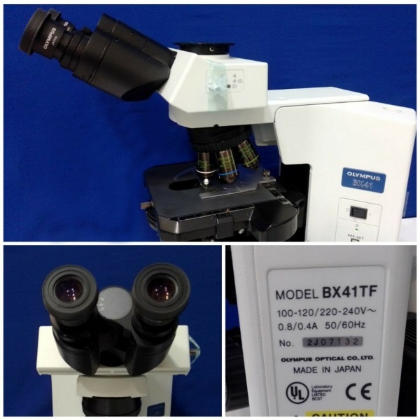 میکروسکوپ المپیوس سه چشمی  Olympus  BX41
