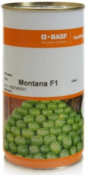 بذر هندوانه مونتانا BASF، فروش و ارسال بذر