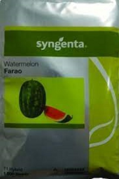 فروش بذر هندوانه فارائو