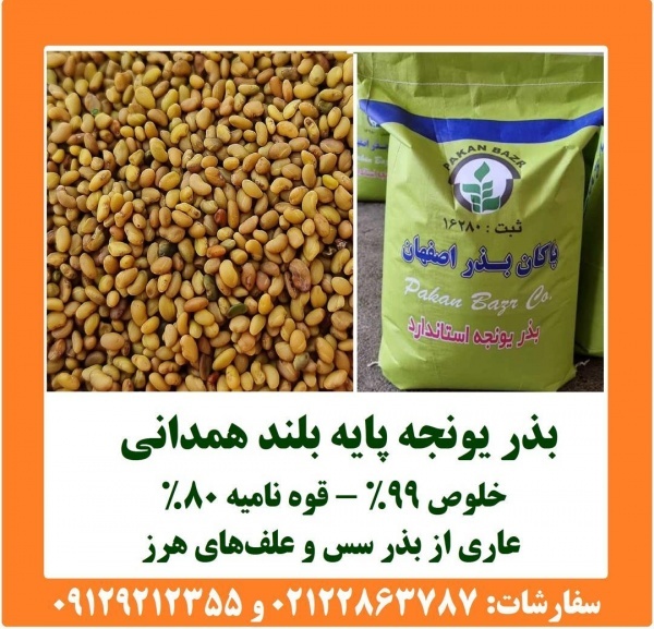 بذر یونجه رنجر پاکان بذر اصفهان