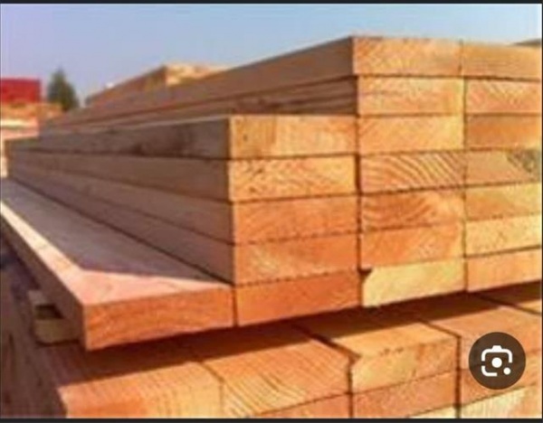 فروش ویژه چوب روسی ، عرضه ی انواع چوب